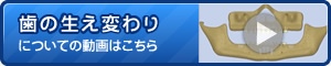 歯の生え変わりについてに動画はこちら